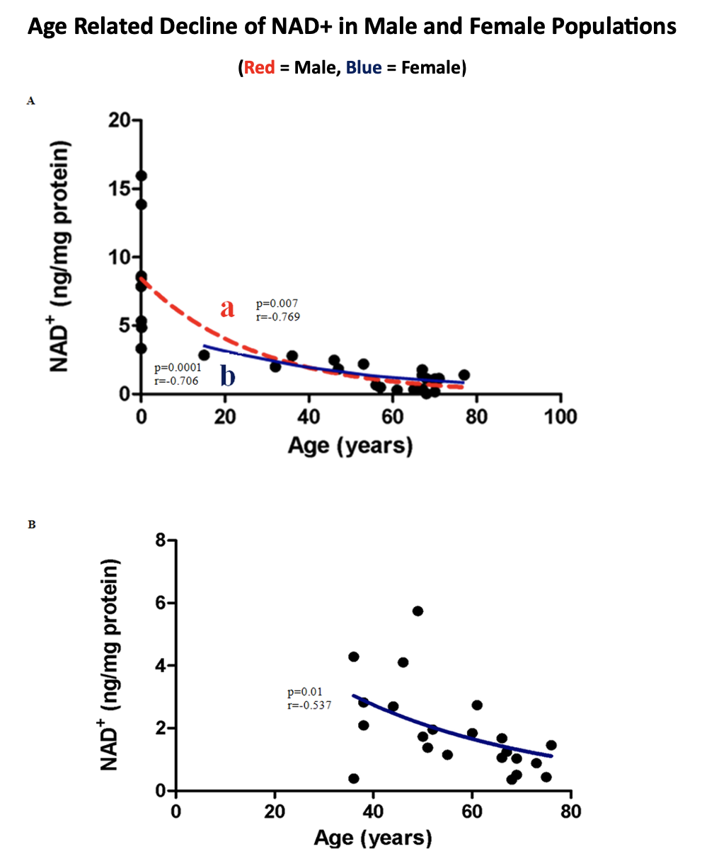 Age Related Decline of NAD+ in Male and Female Populations Chart